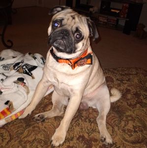 HELP SMALL BUISNESS ❤